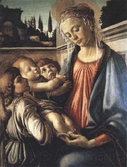 Sandro Botticelli Madonna and Child with two Angels France oil painting art